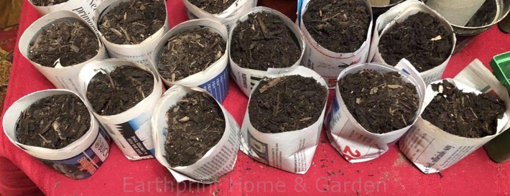 Newspaper seed starter Pots FEB 2021