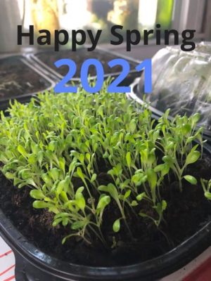 Happy Spring 2021