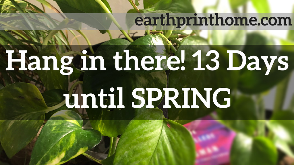 Spring Countdown Has Begun