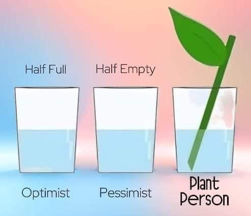 3 glasses filled halfway with water. One is marked: Half Full - Optimist. The second is marked: Half Empty - Optimist. The third has a plant cutting in it and is marked: Plant Person